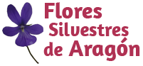 Flores silvestres de Aragón